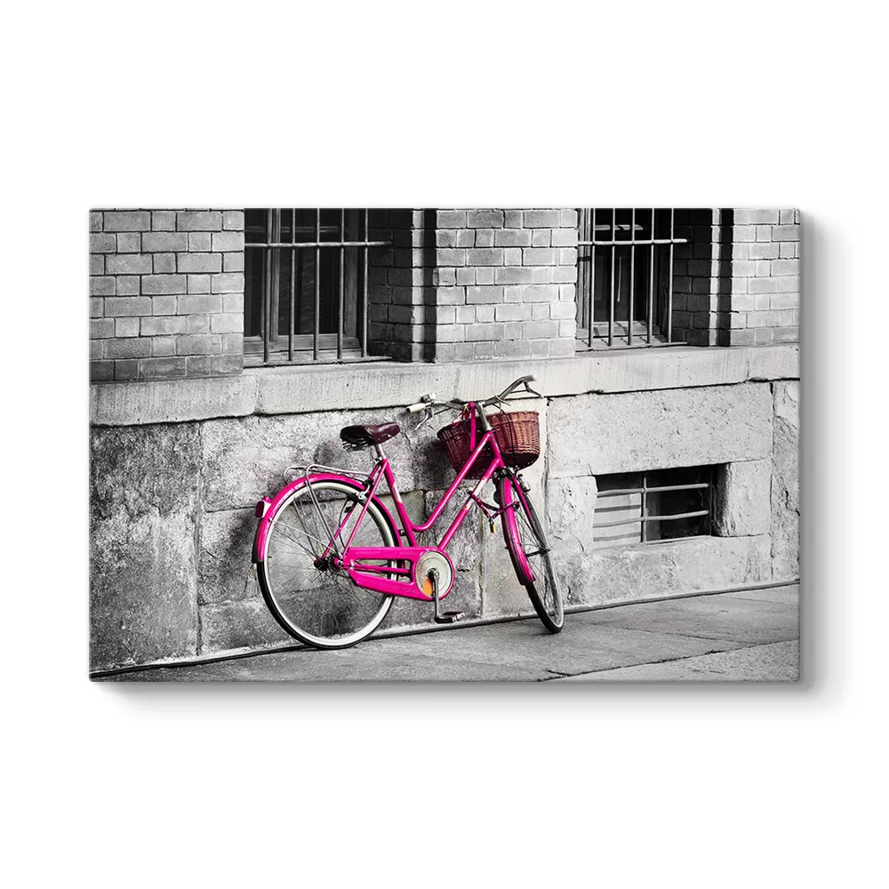 Eski Pembe Bisiklet - Model 1
